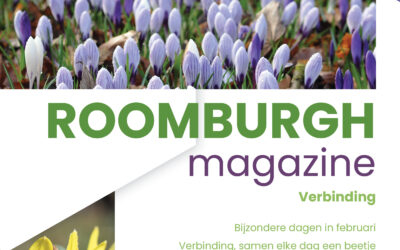 Roomburgh Magazine februari