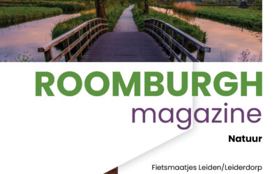 Roomburgh Magazine juni